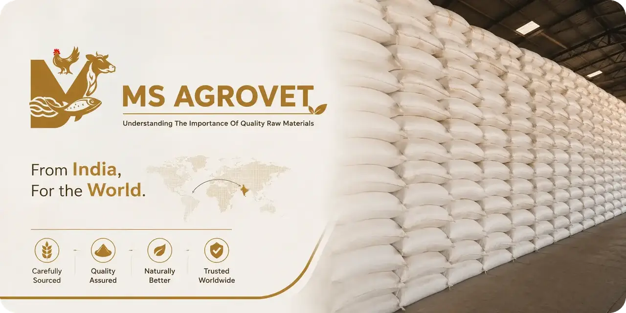 MS Agrovet quality animal feed ingredients supplied from India to the world