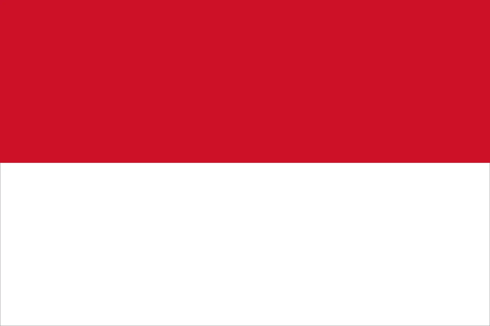 Budi Santoso