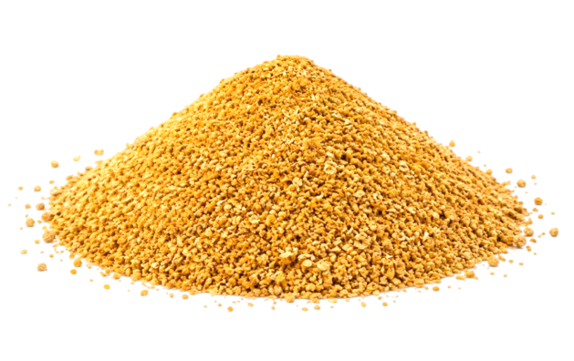 Corn DDGS