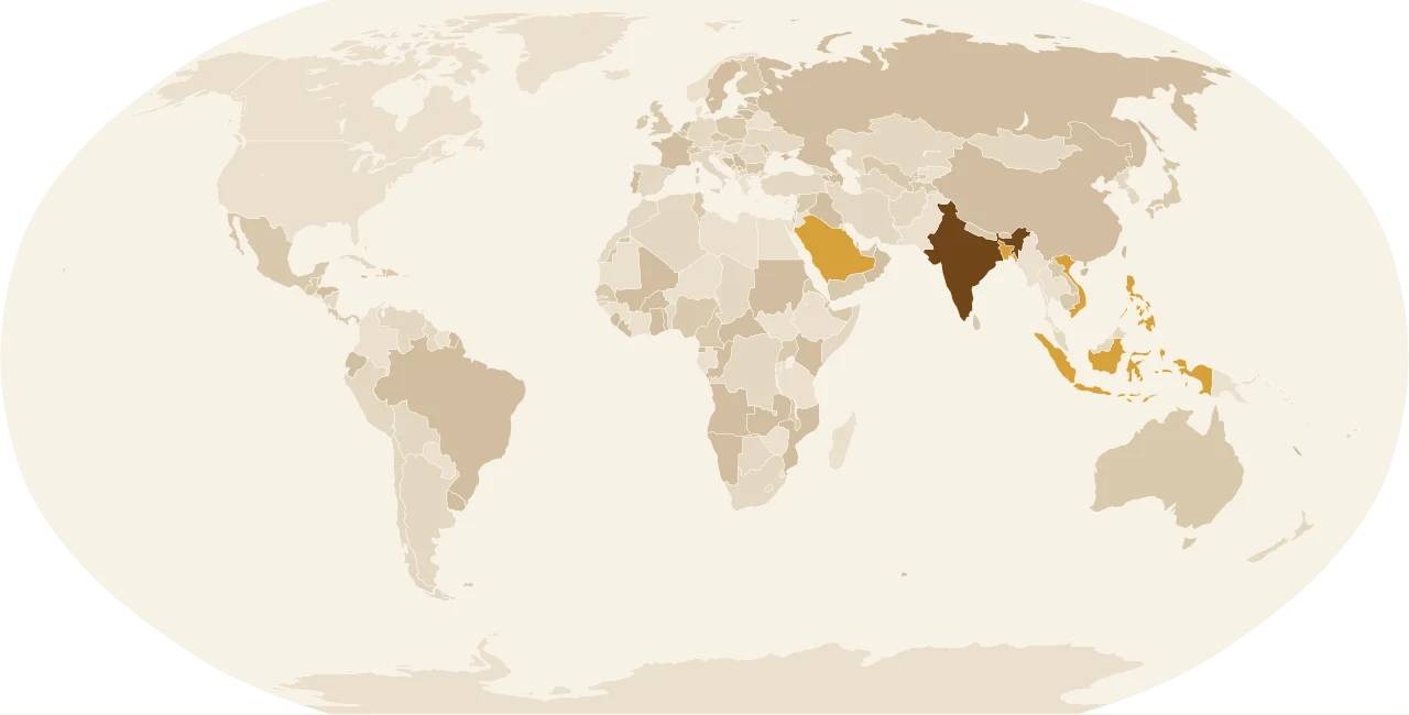 Colour map showing India and active Rice DDGS supply markets across Asia, the Middle East and Africa